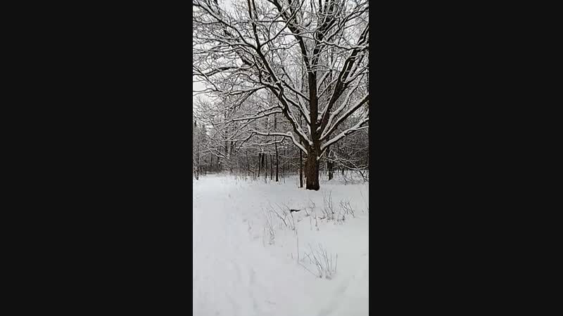 Че ты припёрлась без орехов)