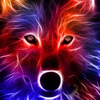 Сергей Вишняков | Минск