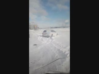Audi Q7 и Нива