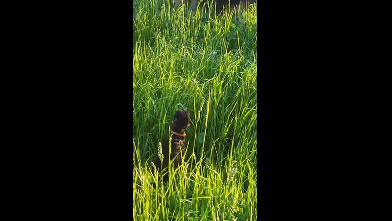 20190522_203209.mp4