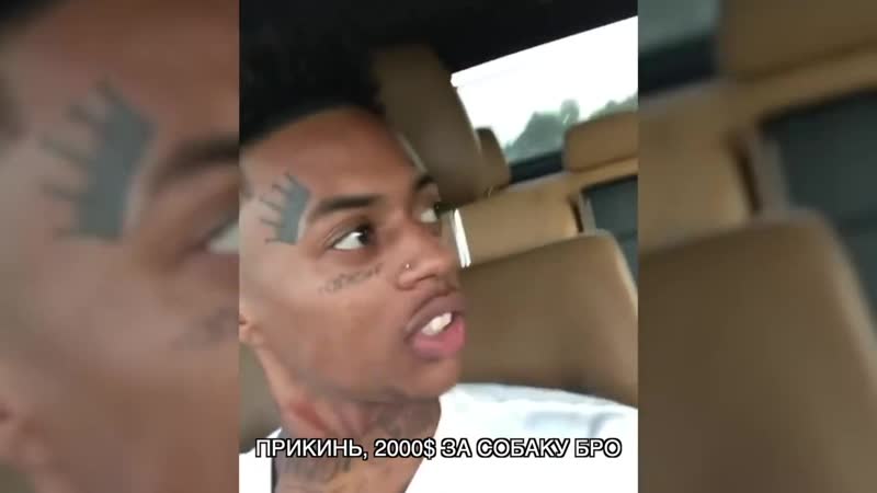 BOONK GANG ЖЖЁТ!