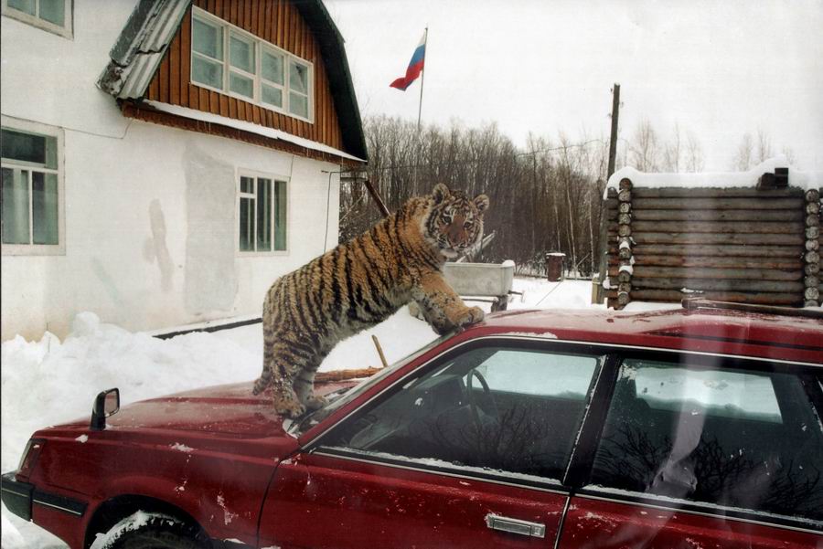 Транспорт Приморья - Февраль 2019 уаз