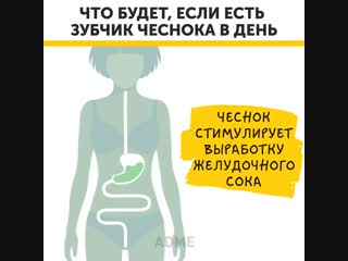 Вот что будет, если есть зубчик чеснока каждый день...