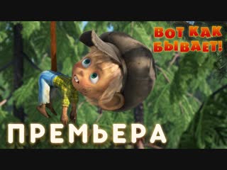 Маша и Медведь • Серия 74 - Вот как бывает!