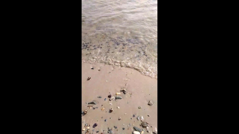 VID_20180714_170308.mp4