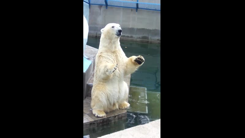 VID_20150928_145733