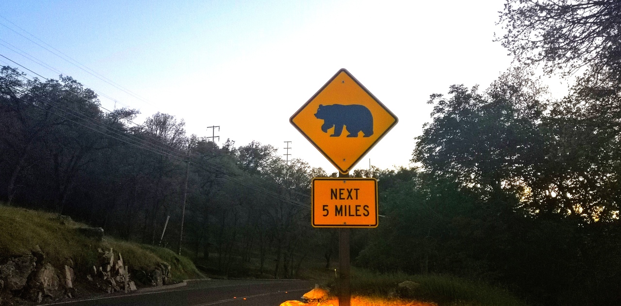 Ударим автопробегом по дикому западу! USA 2019 7-25 марта.