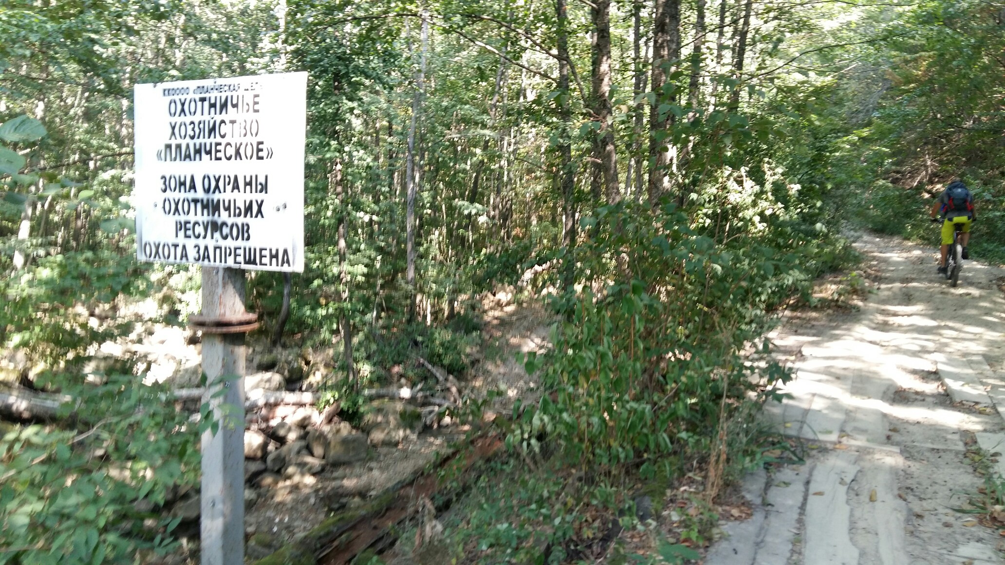 https://pp.userapi.com/c845520/v845520002/d6bc0/G9RhOuAzbAg.jpg