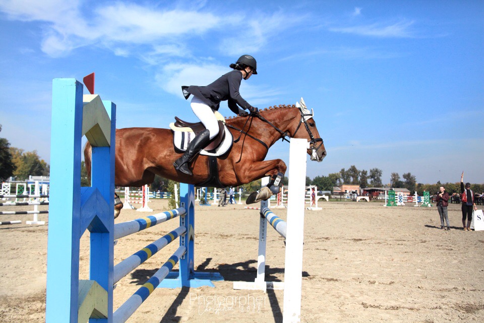 Конный спорт красноярск