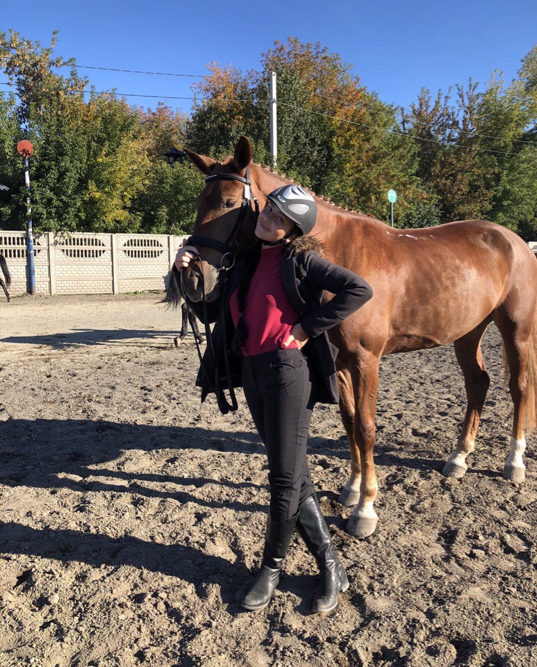 Конный спорт красноярск