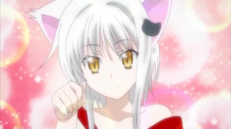 Nya | Arigato Япония