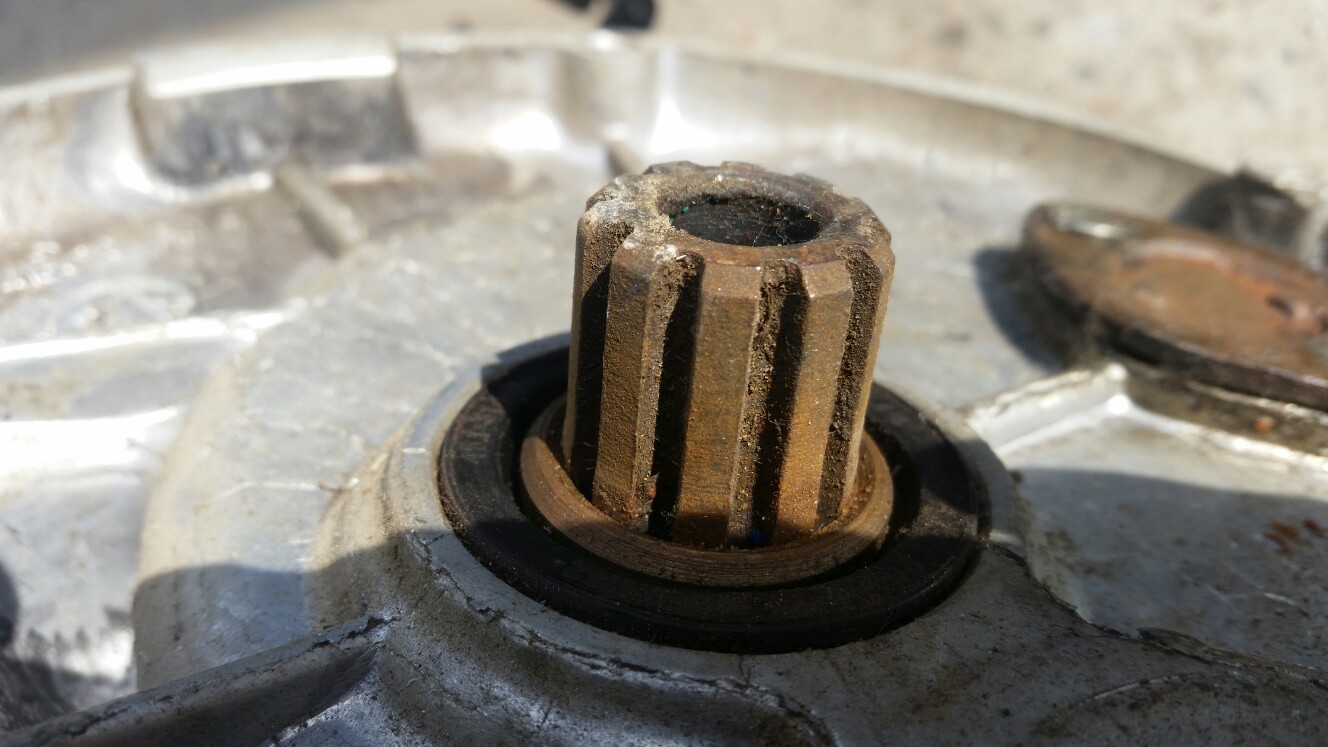 фотка для oppozit.ru