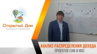 Анализ распределения дохода проектов СНФ и ФОС