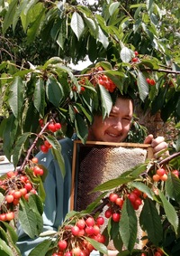 Сулейман Сулейманов