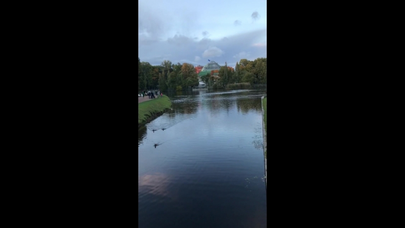 Водичка