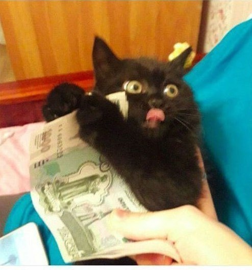 Придумай название к картинке ))