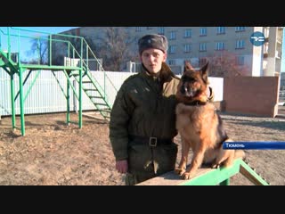 Лохматое пополнение