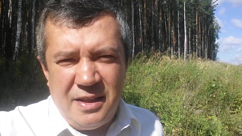 Про пижму и предателей