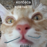 Рамиль Хабибуллин | 