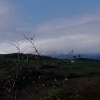 Александра Купцова