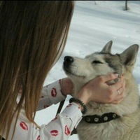 Ирина Волк | Красногорск