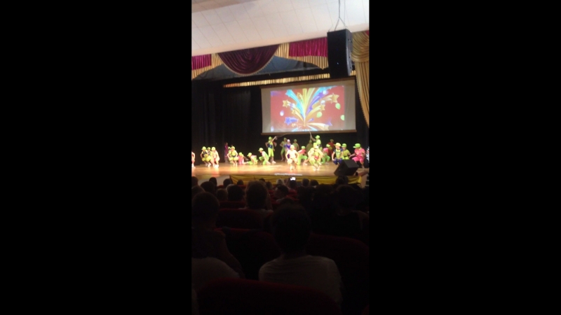 ФЛАМІНГО 2018 звіт Днюха