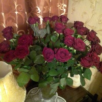 Анна Ляпина | Иваново