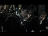 Drarry | Harry Potter vine