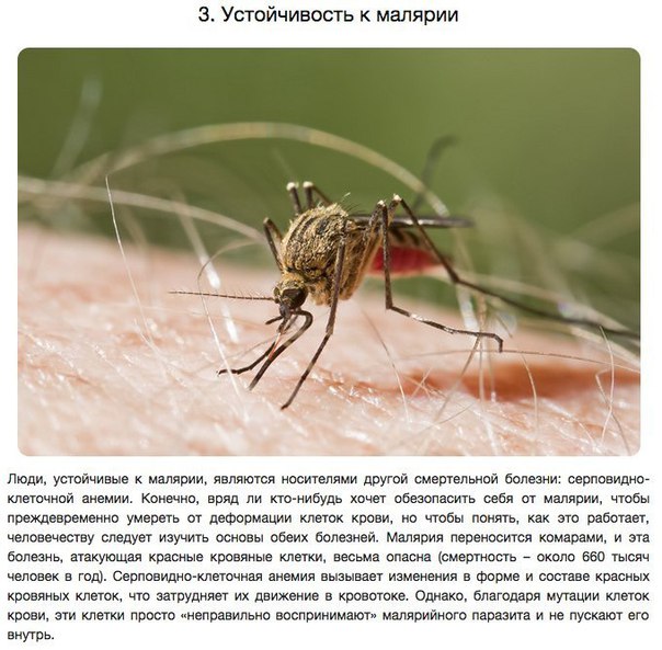 10 удивительных способностей, полученных в результате генетических мутаций. По сравнению со многими другими видами, у всех людей невероятно схожие геномы. Даже небольшие различия в наших генах