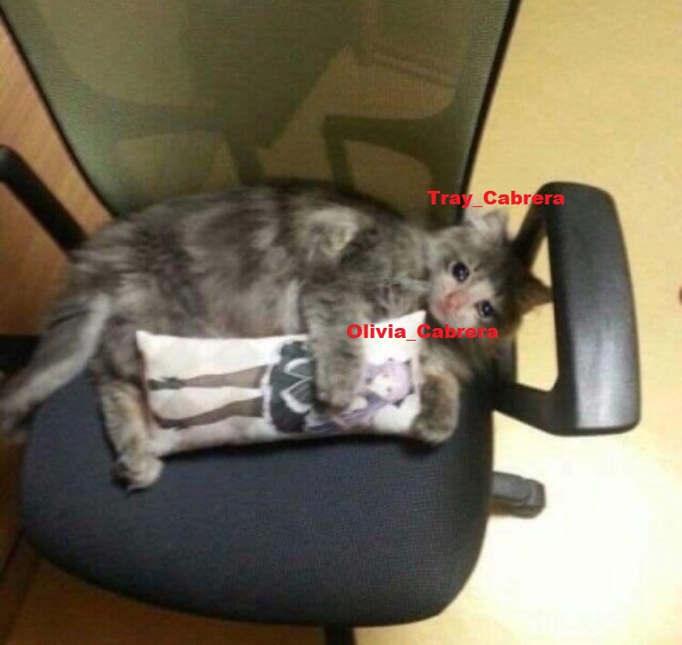 qJi1h9VQ0dA.jpg