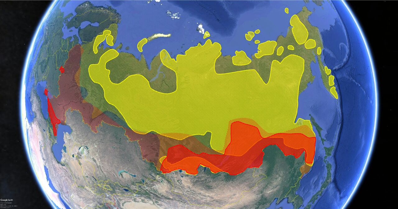 Ареал распостранения оленей