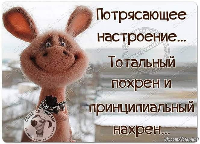 Потрясного настроения. Как настроение ответ. Вопрос юмор. Привет как настроение. Открытка не дождетесь.