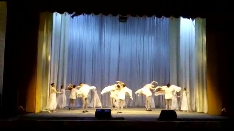Птицы, приз главы 2018