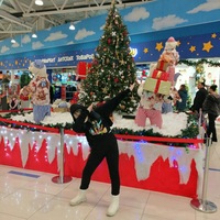 Дарья Зырянова | Лабытнанги