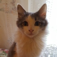 Юлия Крюкова | Иваново