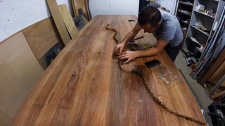 My Country's Story by Sawdust Bureau - collaboration with Sarrita and Tarrise King