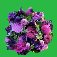 Наталья Лушникова | Иваново