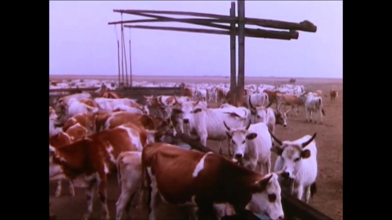 Rural Hungary (1939)