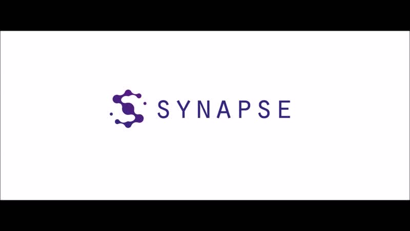 SYNAPSE_inc