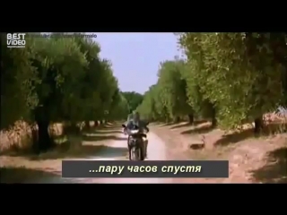 Как узнать время по яйцам осла