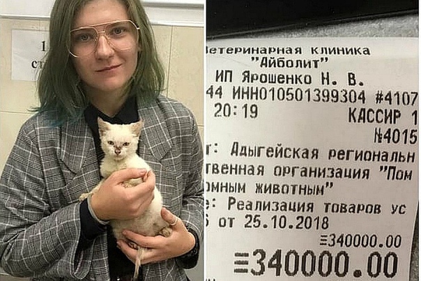 Предлагали машину. Отказалась от подарка девушка, передавшая приюту 340 тысяч<br><br>Студентка нашла в Майкопе бездомного раненого котёнка и отнесла в местный приют. Однако те не смогли его принять из-за долга в 340 тысяч рублей перед ветеринарной клиникой. Тогда девушка оплатила сразу всю сумму из денег, которые откладывала на покупку машины. <br><br>— Я вообще-то собирала на машину. Часть отложила со своей университетской стипендии, ещё часть — с зарплаты, я ведь давно подрабатываю. Плюс деньги, которые мне дарили на дни рождения, — рассказала девушка. <br><br>Как ранее рассказывала КП, в редакцию обратились бизнесмены с просьбой связать их со студенткой, чтобы они смогли помочь ей приобрести авто. Но девушка залегла на дно и перестала отвечать на сообщения. И лишь спустя неделю она вышла на связь и заявила, что ей не нужна никакая помощь и что на её месте каждый поступил бы точно так же. <br>— Мне не нравится любое внимание со стороны, поймите. Надеюсь, по этому поводу меня больше беспокоить не будут, — пояснила девушка. - фото Фото: Предлагали машину. Отказалась от подарка девушка, передавшая приюту 340 тысяч<br><br>Студентка нашла в Майкопе бездомного раненого котёнка и отнесла в местный приют. Однако те не смогли его принять из-за долга в 340 тысяч рублей перед ветеринарной клиникой. Тогда девушка оплатила сразу всю сумму из денег, которые откладывала на покупку машины. <br><br>— Я вообще-то собирала на машину. Часть отложила со своей университетской стипендии, ещё часть — с зарплаты, я ведь давно подрабатываю. Плюс деньги, которые мне дарили на дни рождения, — рассказала девушка. <br><br>Как ранее рассказывала КП, в редакцию обратились бизнесмены с просьбой связать их со студенткой, чтобы они смогли помочь ей приобрести авто. Но девушка залегла на дно и перестала отвечать на сообщения. И лишь спустя неделю она вышла на связь и заявила, что ей не нужна никакая помощь и что на её месте каждый поступил бы точно так же. <br>— Мне не нравится любое внимание со стороны, поймите. Надеюсь, по этому поводу меня больше беспокоить не будут, — пояснила девушка.