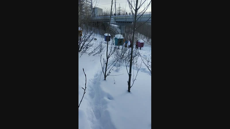 Live Фотошкола Пикча Пермь