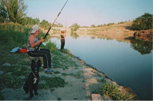 Наш пруд 2009 год Наш пруд 2009 год