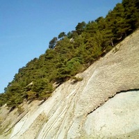 Светлана Храмцова