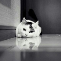 Семен Новиков