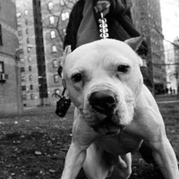 Влад Иванов