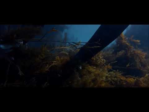 Simon Baker Breath Official Trailer