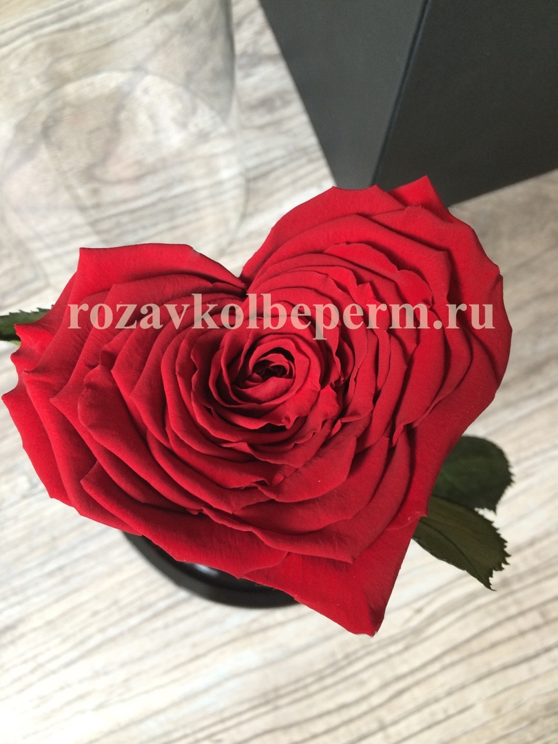 Схема параметрического эквалайзер Схема параметрического эквалайзер