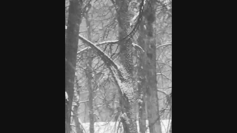 Погода,не погода ❄️🌫️🌨️
