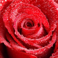 Кухтюк Лариса